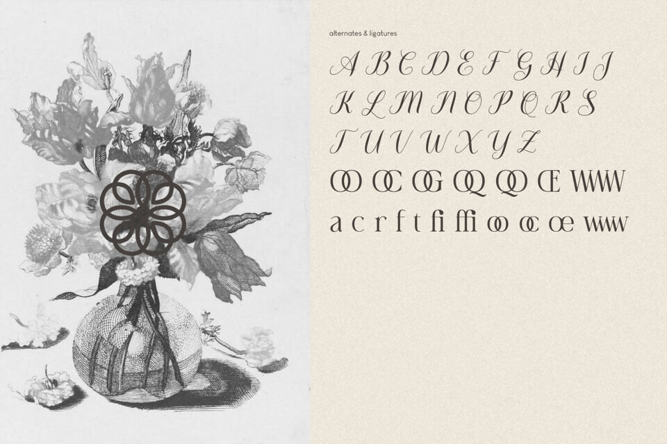 Amarieta Font