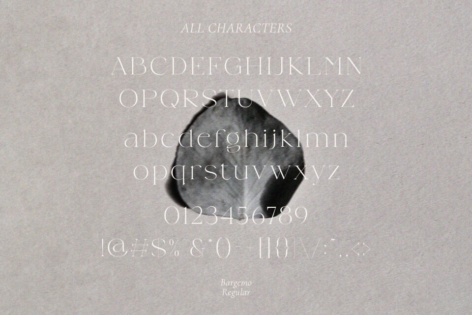 Bargemo Font