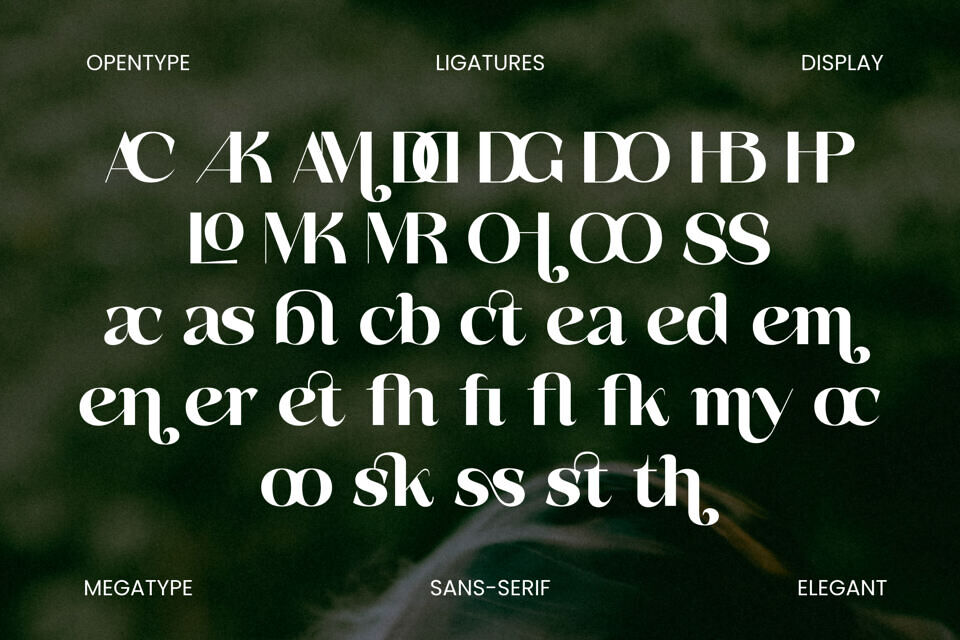 Basken Font