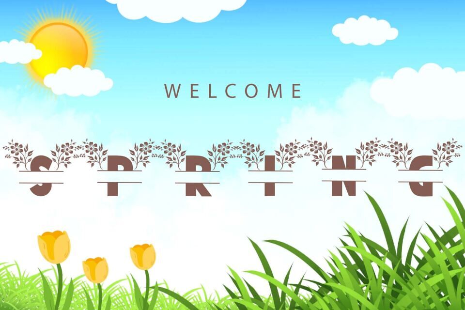 Beautiful Spring Flowers Font