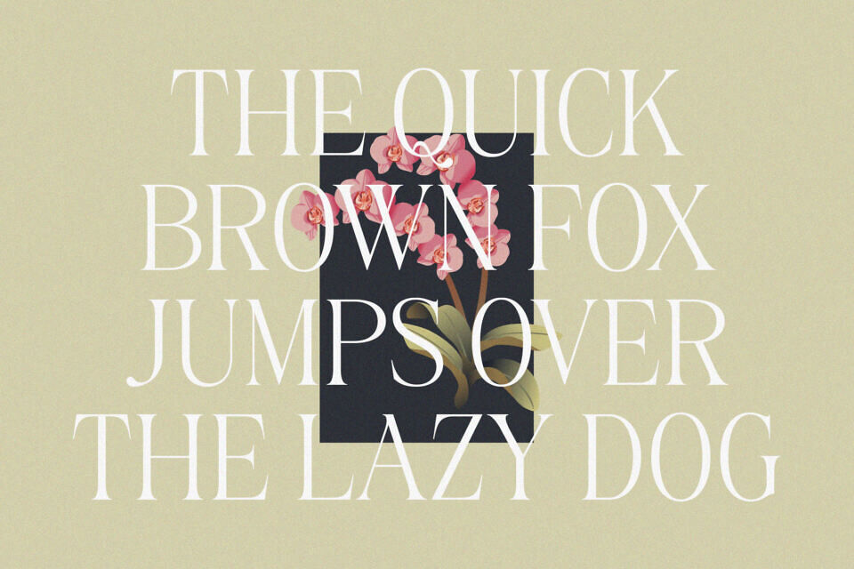 Belinda Avenue Font