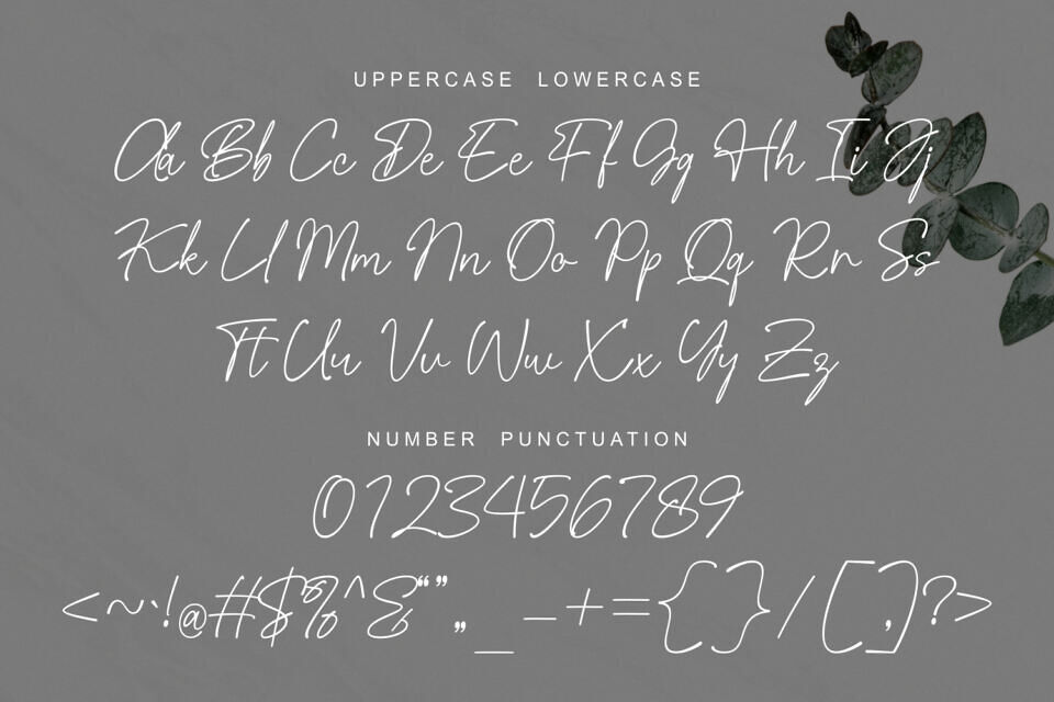 Bellagieta Font