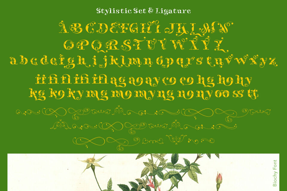 Biochy Font