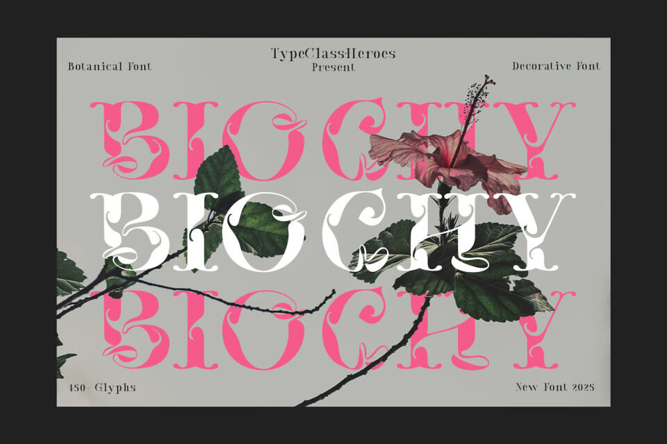 Biochy Font