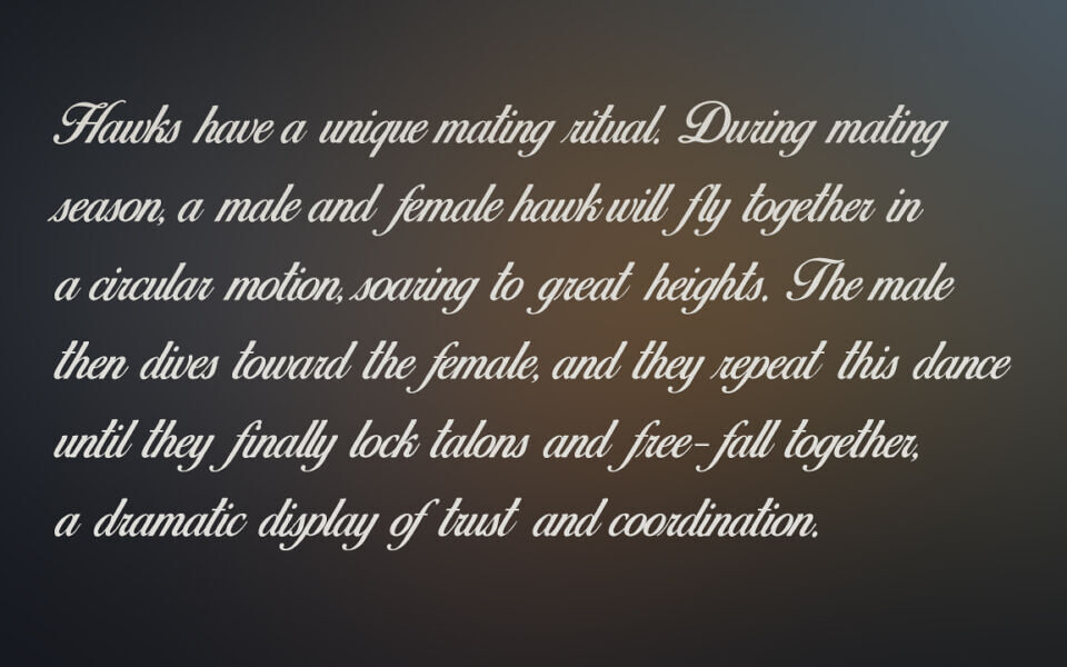Birds of Paradise Font