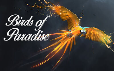 Birds of Paradise Font (3)