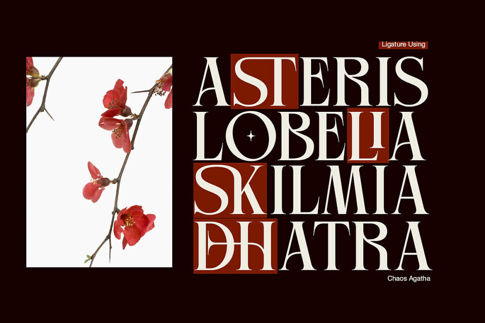 Chaos Agatha Font