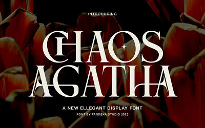 Chaos Agatha Font (8)