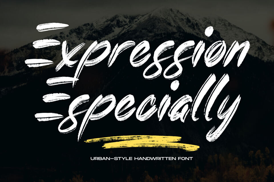 Expression Especially Font