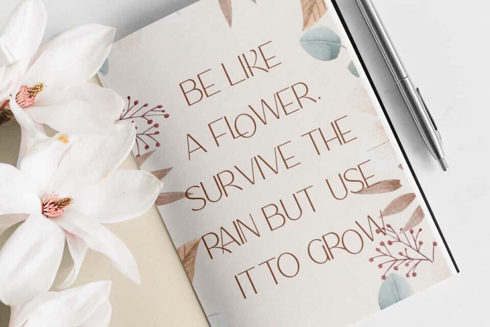 Flora Zemora Font