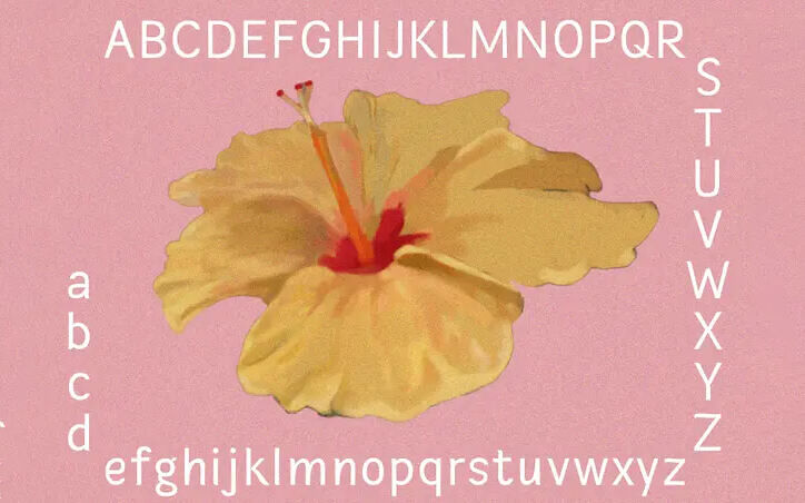 Hibiscus Sans Font