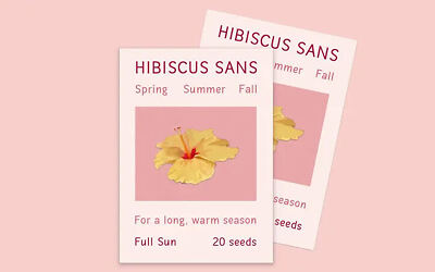 Hibiscus Sans Font (2)
