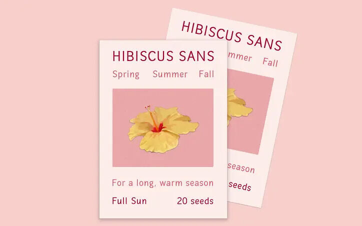 Hibiscus Sans Font