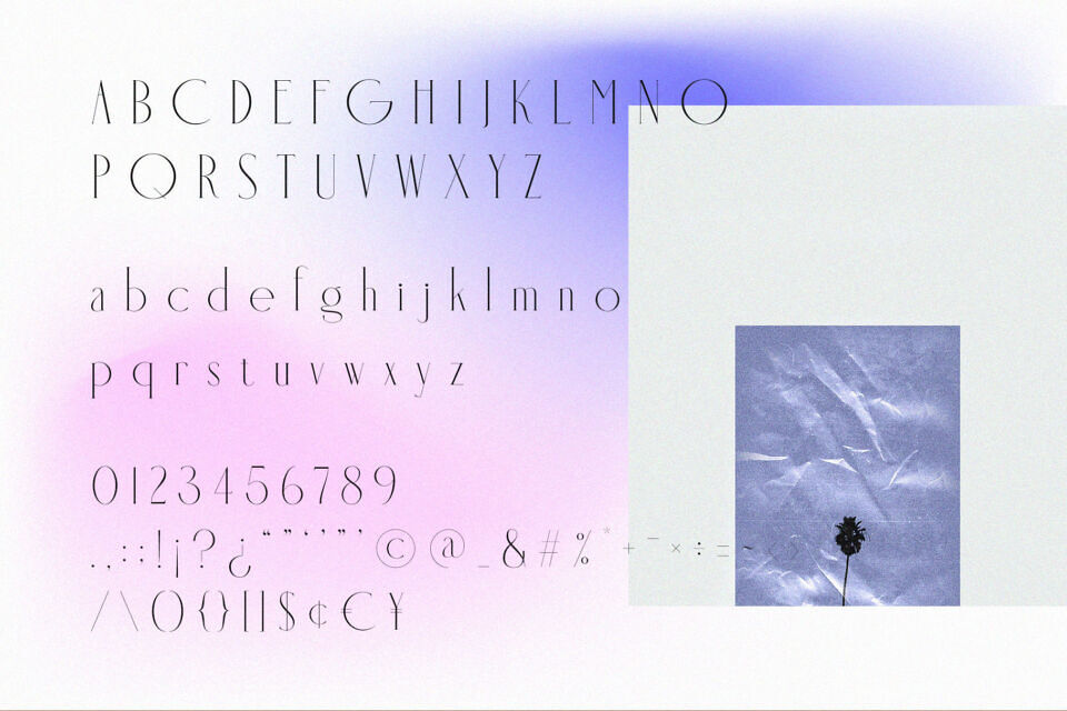 Holipop Font