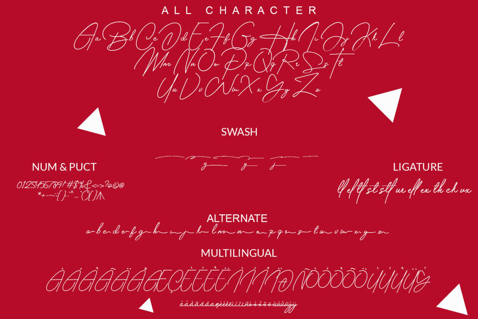Housttely Signature Font