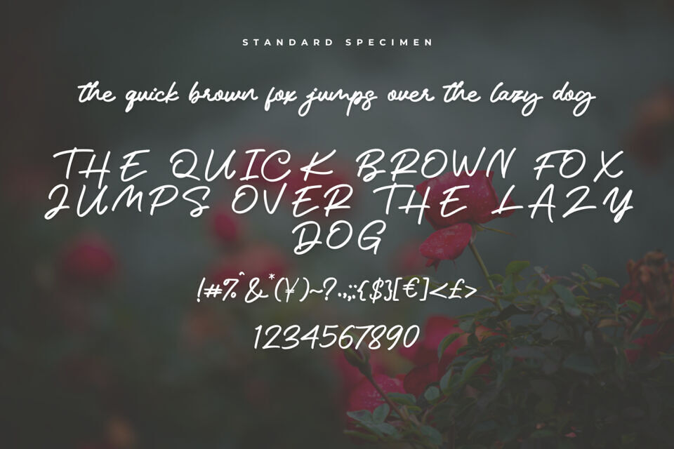 Marstina Font