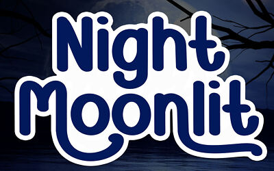 Night Moonlit Font (4)