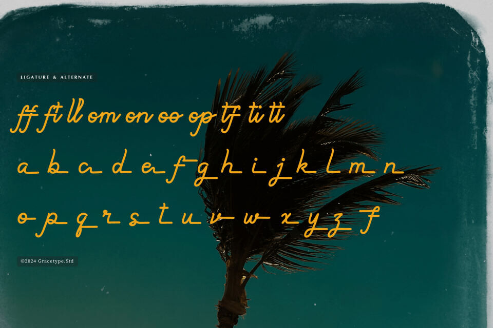 Paradise Gallaiso Font