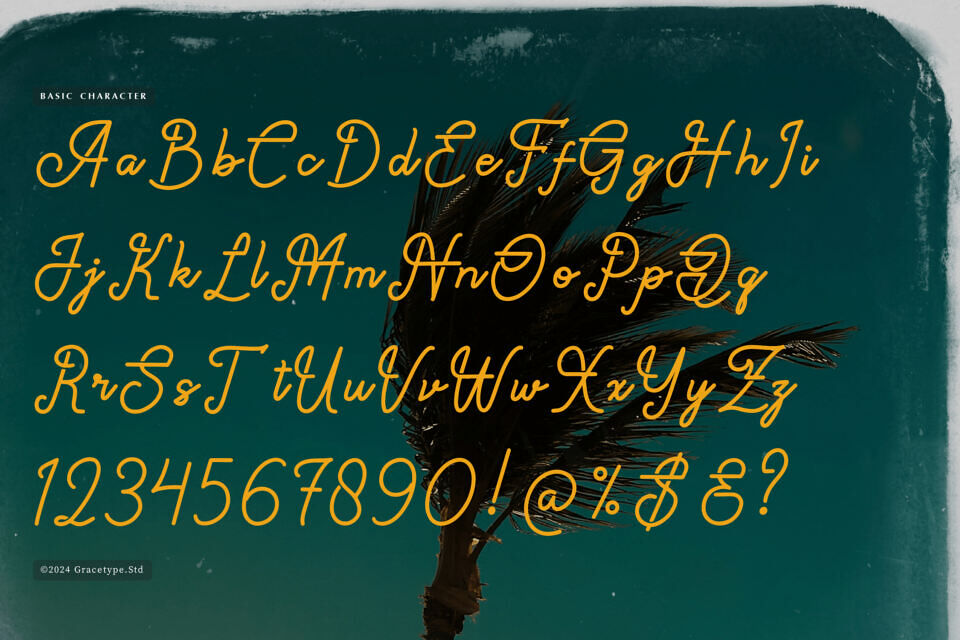 Paradise Gallaiso Font