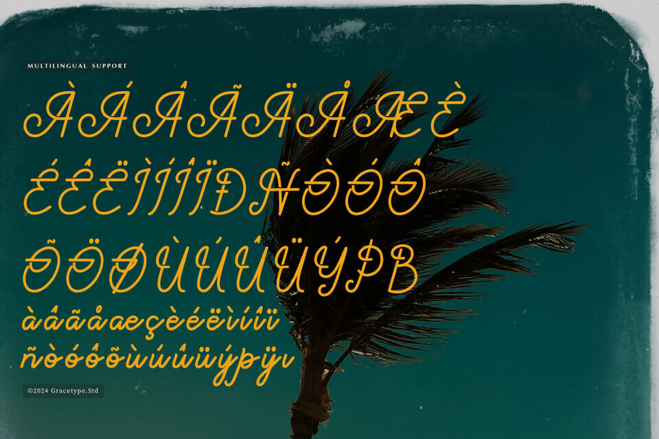 Paradise Gallaiso Font