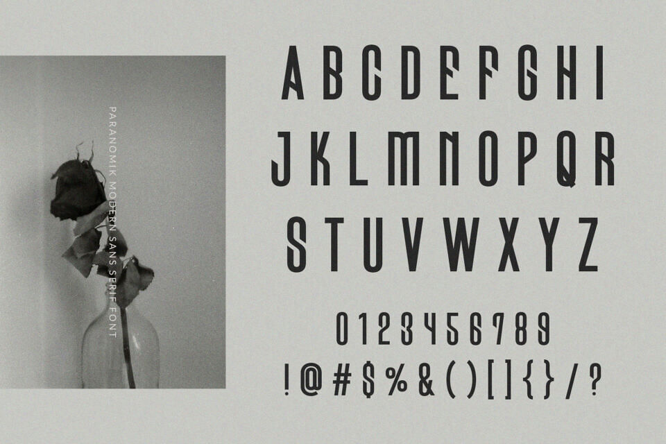 Paranomik Font