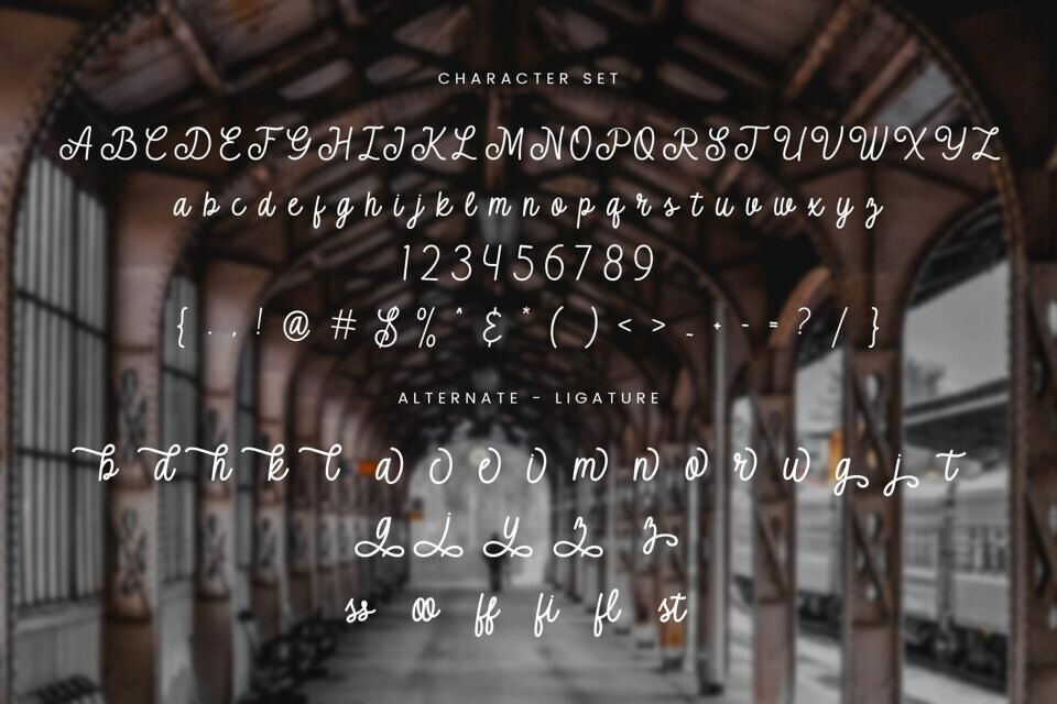 Taringue Font