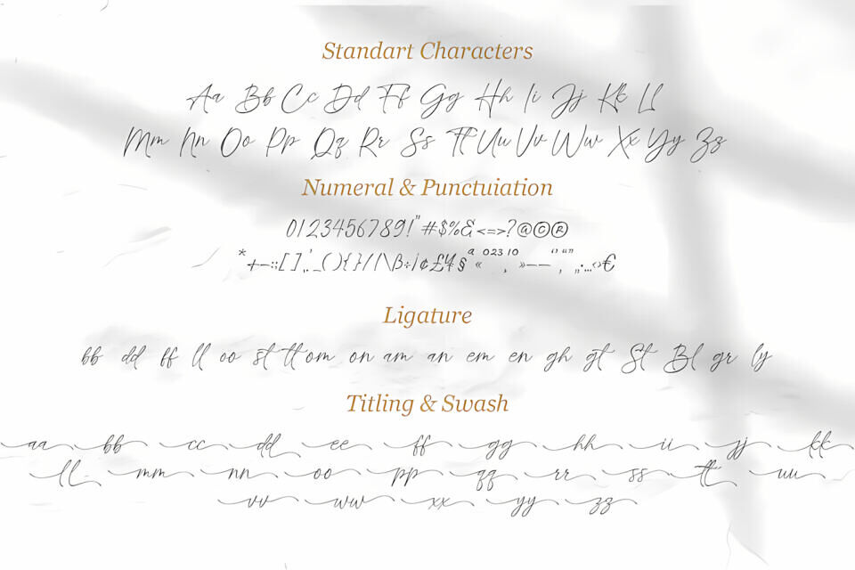 Whole Font