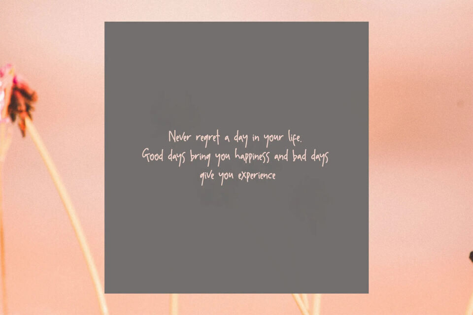 Aminola Font