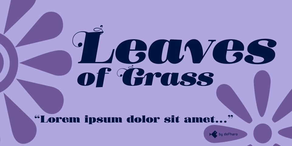 Donaire Black Font