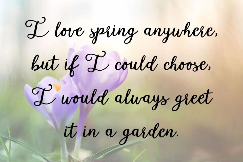 Garden Whimsy Font
