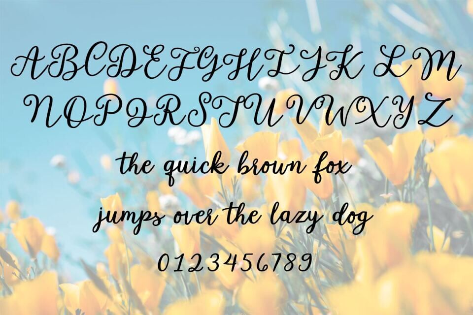 Garden Whimsy Font