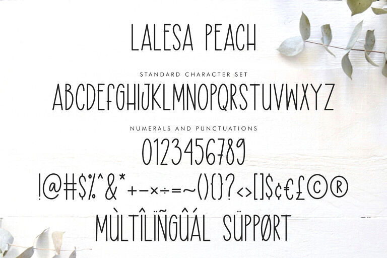 Lalesa Peach Font