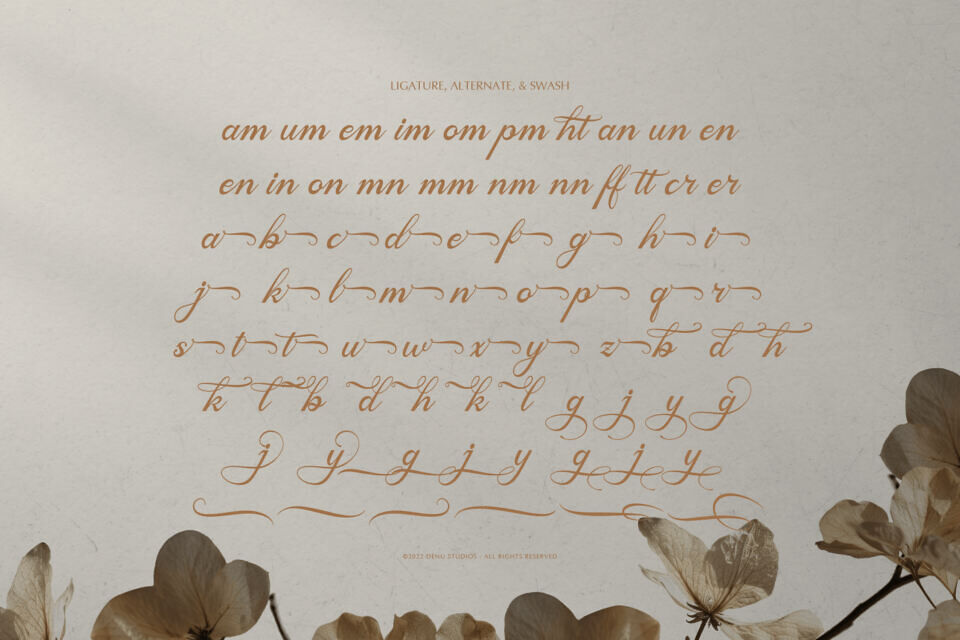 Mamylinus Font
