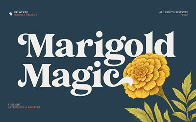 Marigold Magic Font