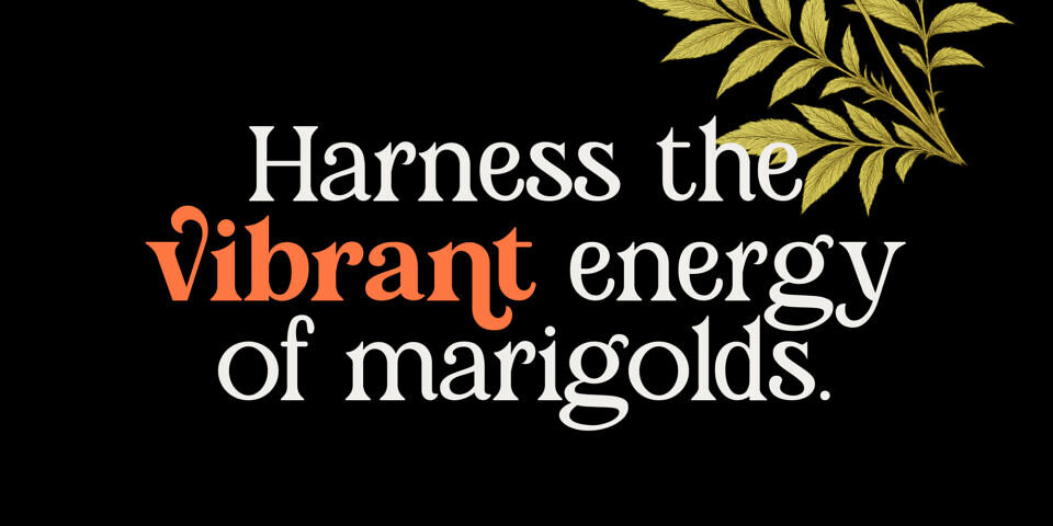 Marigold Magic Font