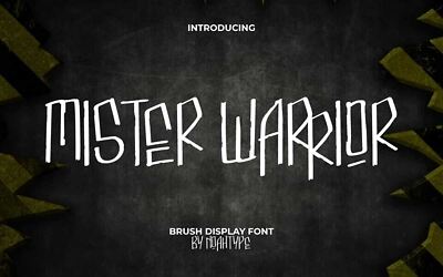 Mister Warrior