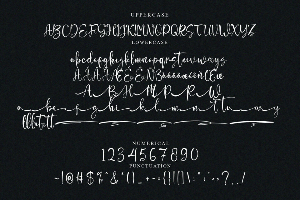 Moettiara Font