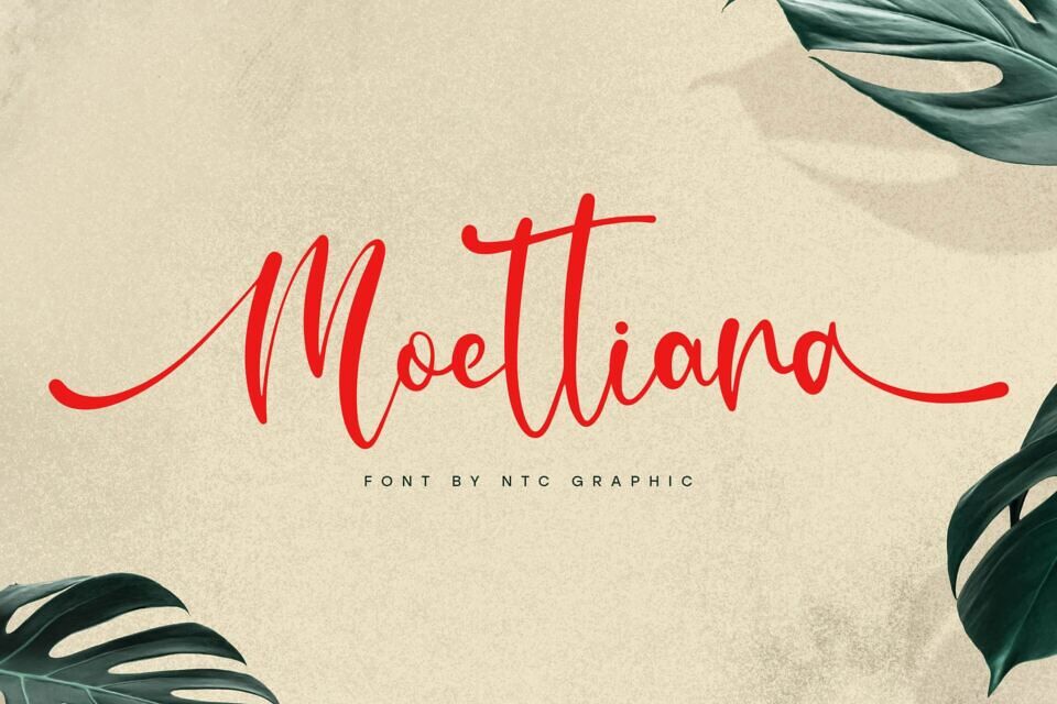 Moettiara Font