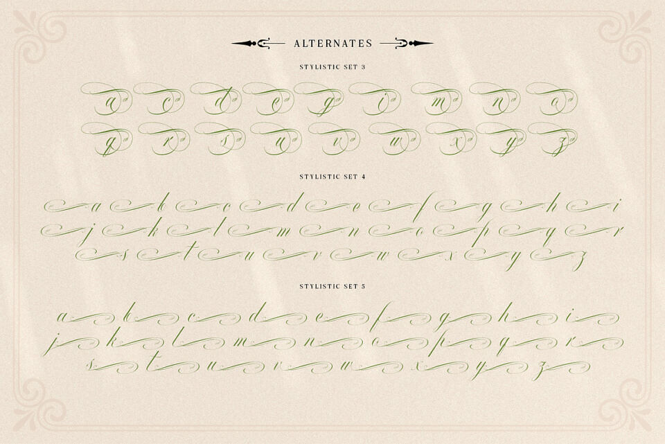 Mollani Font
