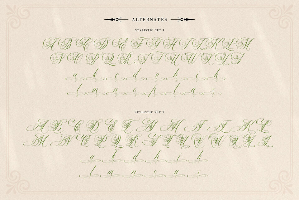 Mollani Font