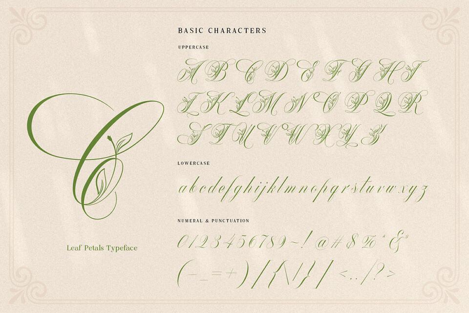 Mollani Font