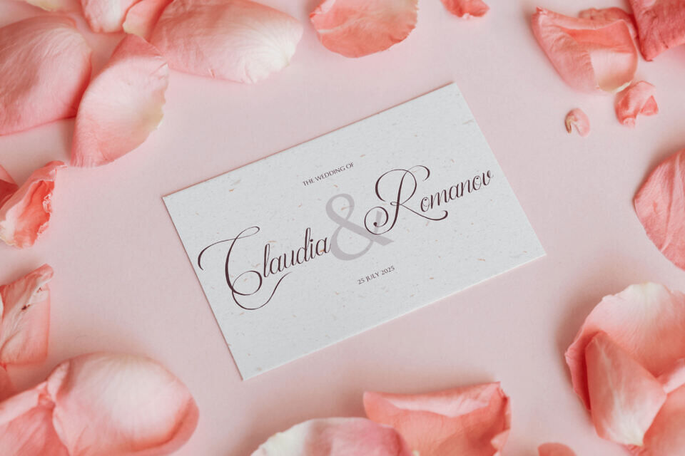 Palmeira Benvello Font