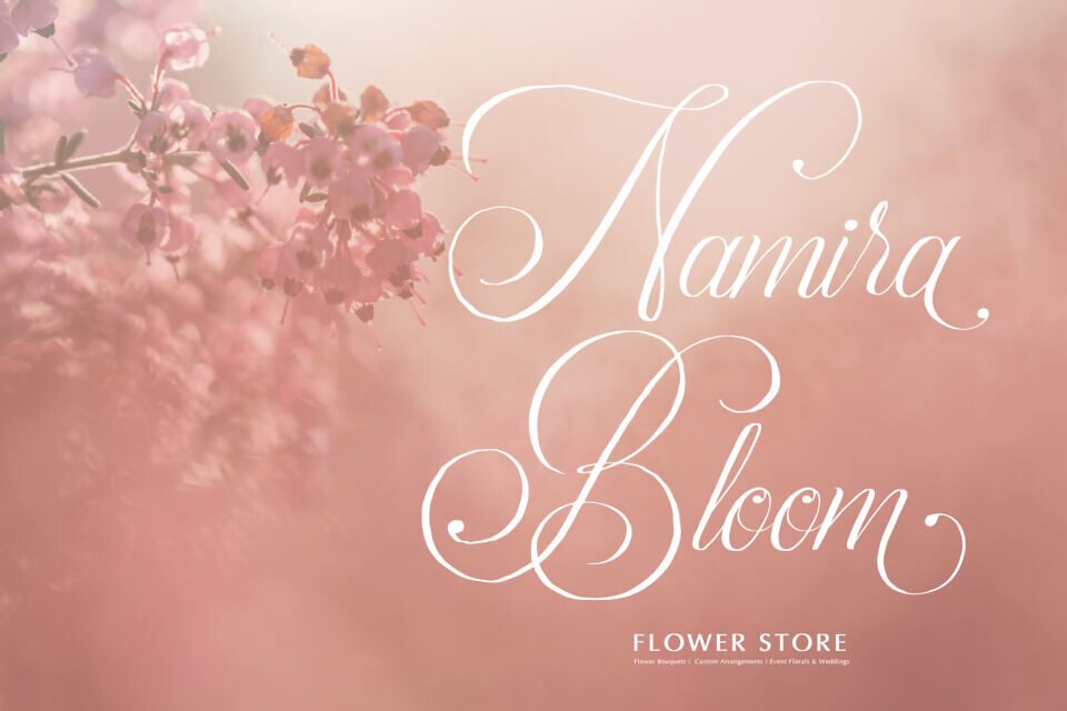 Palmeira Benvello Font