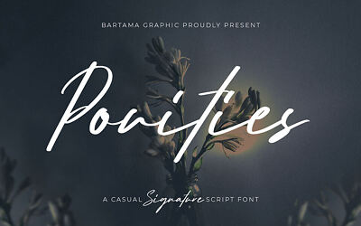 Pouities Font