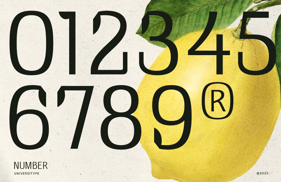 UT Doangs Font