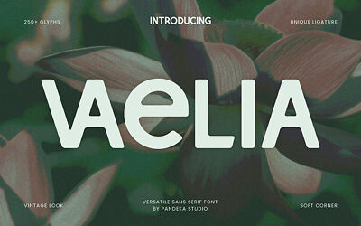 Vaelia Font