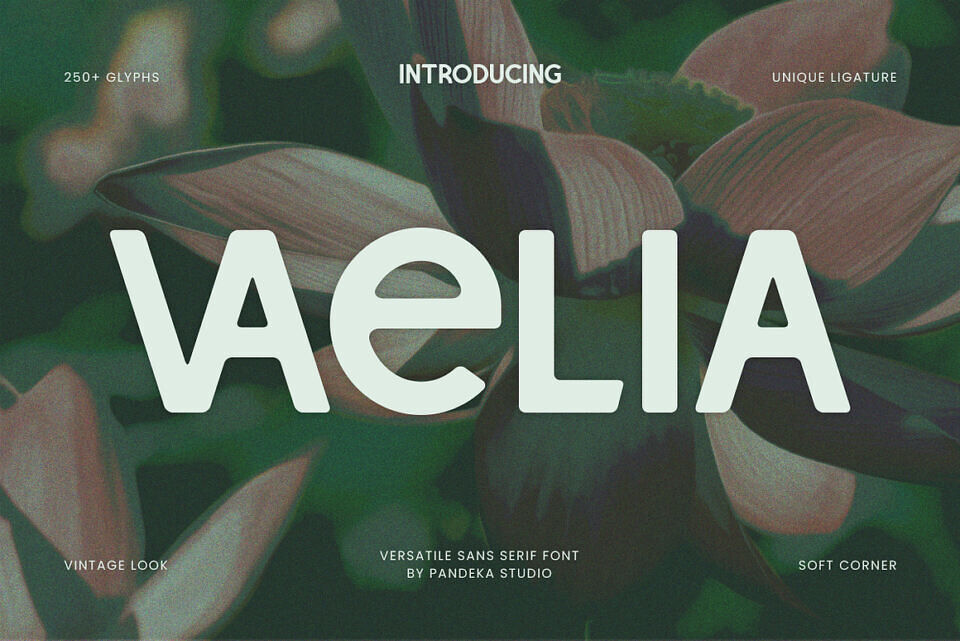 Vaelia Font