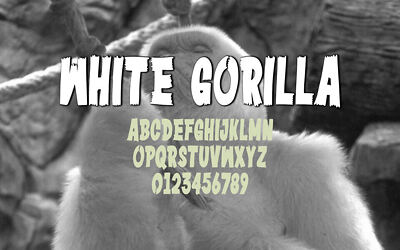 White Gorilla Font