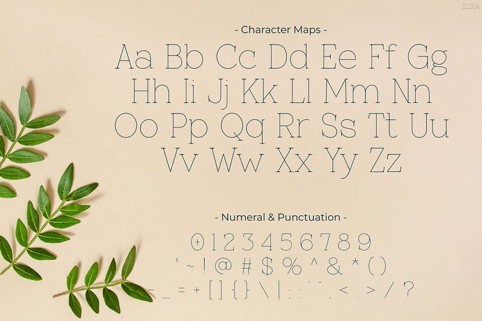 Elixia Font