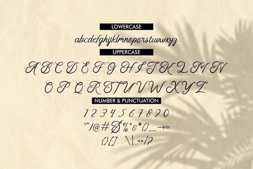 Faldith Font